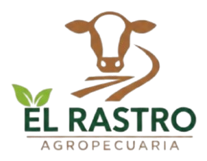 El Rastro